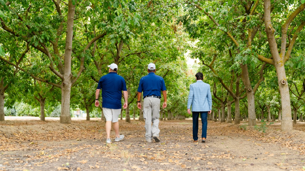 Advisors walking through a California orchard